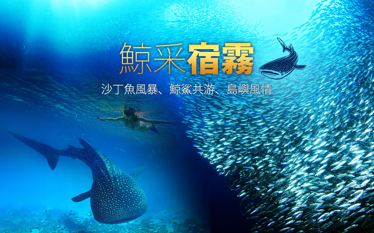 宿霧-鯨鯊-沙丁魚風暴